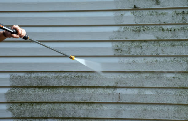 Best Warehouse Cleaning  in Osage City, KS